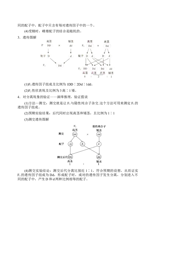 知识清单11基因分离定律（5大考点4个易错点）-上好课2025年高考生物一轮复习知识清单_2025年新高考资料_一轮复习_上好课2025年高考生物一轮复习知识清单325572639