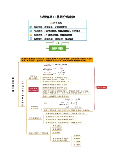 知识清单11基因分离定律（5大考点4个易错点）-上好课2025年高考生物一轮复习知识清单_2025年新高考资料_一轮复习_上好课2025年高考生物一轮复习知识清单325572639