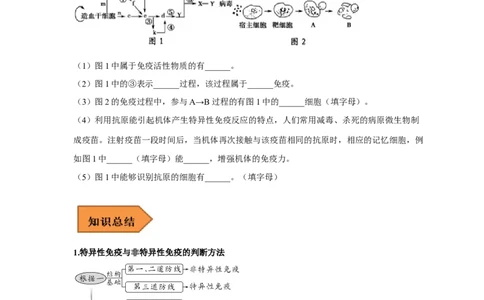 易错点22免疫调节-备战2023年高考生物考试易错题（新教材新高考）（原卷版）_新高考复习资料_2023年新高考复习资料_专项复习_备战2023年高考生物考试易错题（新教材新高考）