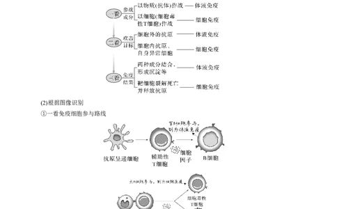 易错点22免疫调节-备战2023年高考生物考试易错题（新教材新高考）（原卷版）_新高考复习资料_2023年新高考复习资料_专项复习_备战2023年高考生物考试易错题（新教材新高考）