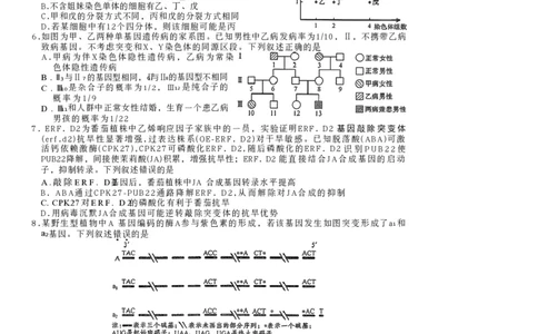 陕西商洛市2026届高三下学期第一次模拟考试生物试题+答案_2024-2026高三（6-6月题库）_2026年03月高三试卷_260325陕西商洛市2026届高三下学期第一次模拟考试（全科）