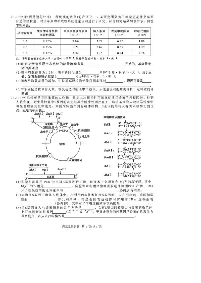 陕西商洛市2026届高三下学期第一次模拟考试生物试题+答案_2024-2026高三（6-6月题库）_2026年03月高三试卷_260325陕西商洛市2026届高三下学期第一次模拟考试（全科）