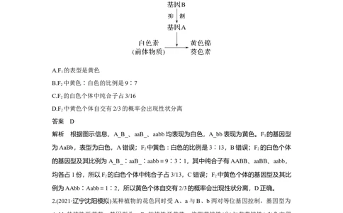热点微练15　自由组合定律的特殊分离比_新高考复习资料_2023年新高考复习资料_一轮复习_2023年新高考大一轮复习讲义_2023年高考生物一轮复习讲义（新人教新高考）_赠补充习题