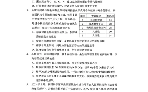 重庆市2026年普通高等学校招生全国统一考试康德调研（四）生物+答案_2024-2026高三（6-6月题库）_2026年04月高三试卷