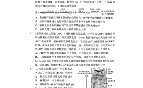 重庆市2026年普通高等学校招生全国统一考试康德调研（四）生物+答案_2024-2026高三（6-6月题库）_2026年04月高三试卷