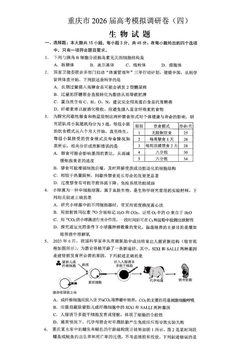 重庆市2026年普通高等学校招生全国统一考试康德调研（四）生物+答案_2024-2026高三（6-6月题库）_2026年04月高三试卷