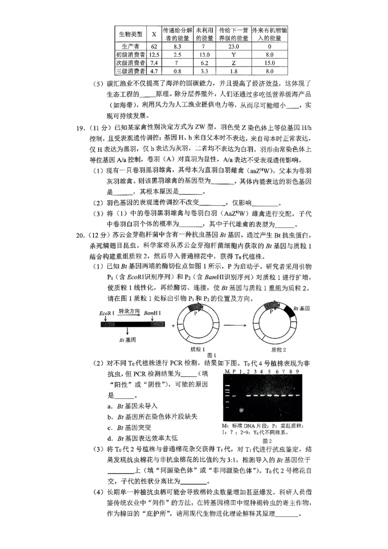 重庆市2026年普通高等学校招生全国统一考试康德调研（四）生物+答案_2024-2026高三（6-6月题库）_2026年04月高三试卷
