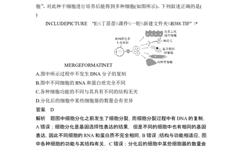热点微练9细胞分化、衰老、死亡与人体健康(尖子生特训)_新高考复习资料_2024年新高考复习资料_一轮复习资料_完2024生物步步高大一轮复习（课件+讲义）_另附1套Word版题库_必修1