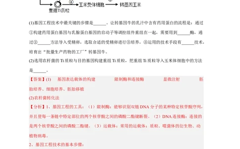 易错点27细胞工程与胚胎工程-备战2023年高考生物考试易错题（新教材新高考）（解析版）_新高考复习资料_2023年新高考复习资料_专项复习