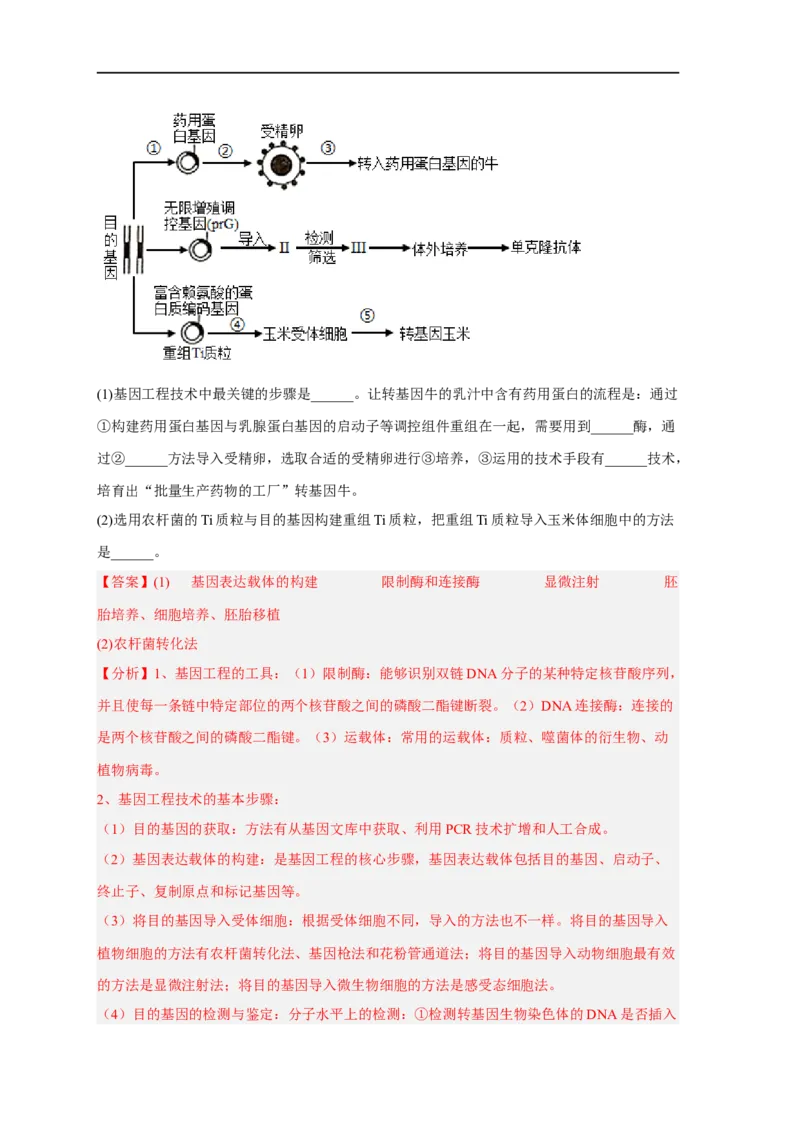 易错点27细胞工程与胚胎工程-备战2023年高考生物考试易错题（新教材新高考）（解析版）_新高考复习资料_2023年新高考复习资料_专项复习