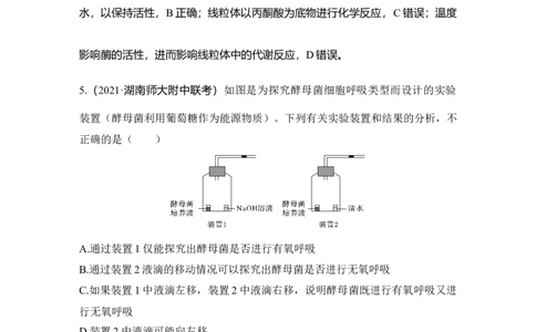 热点微练7细胞呼吸方式的判断_通用版（老高考）复习资料_2023年复习资料_一轮复习_2023年高考生物一轮复习讲义+课件（全国版）_2023年高考生物一轮复习讲义（全国版）_赠补充习题