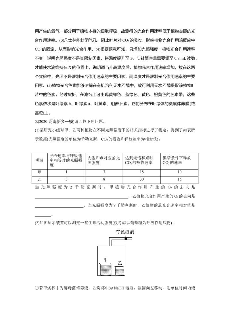 热点微练8　&ldquo;液滴移动法&rdquo;测定细胞呼吸与光合速率_新高考复习资料_2023年新高考复习资料_一轮复习_2023年新高考大一轮复习讲义_2023年高考生物一轮复习讲义（新人教新高考）