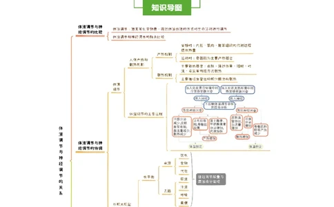 知识清单23体液调节与神经调节的关系（3大考点+4个易错点）-上好课2025年高考生物一轮复习知识清单_2025年新高考资料_一轮复习