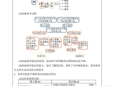 知识清单23体液调节与神经调节的关系（3大考点+4个易错点）-上好课2025年高考生物一轮复习知识清单_2025年新高考资料_一轮复习