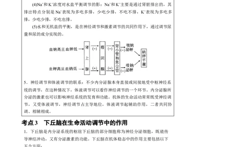 知识清单23体液调节与神经调节的关系（3大考点+4个易错点）-上好课2025年高考生物一轮复习知识清单_2025年新高考资料_一轮复习