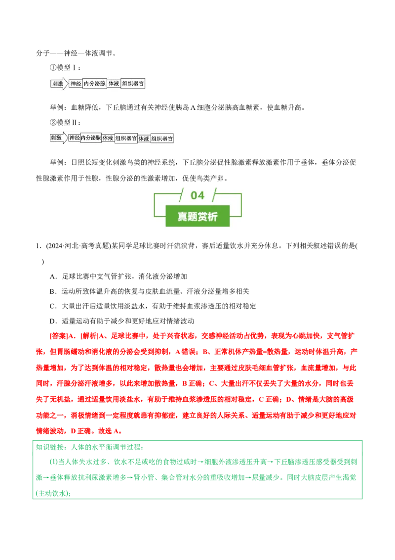 知识清单23体液调节与神经调节的关系（3大考点+4个易错点）-上好课2025年高考生物一轮复习知识清单_2025年新高考资料_一轮复习