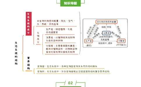 知识清单29生态系统的结构（2大考点+5个易错点）-上好课2025年高考生物一轮复习知识清单_2025年新高考资料_一轮复习_上好课2025年高考生物一轮复习知识清单325572639