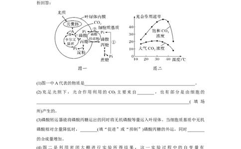热点微练11　光合作用与细胞呼吸的综合运用_新高考复习资料_2023年新高考复习资料_一轮复习_2023年新高考大一轮复习讲义_2023年高考生物一轮复习讲义（新人教新高考）_赠补充习题