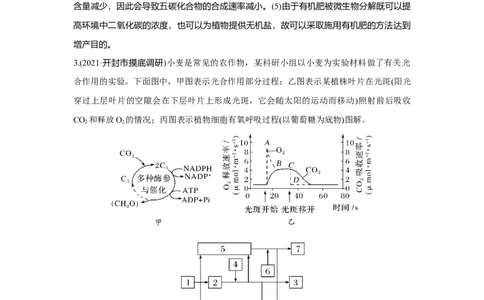 热点微练11　光合作用与细胞呼吸的综合运用_新高考复习资料_2023年新高考复习资料_一轮复习_2023年新高考大一轮复习讲义_2023年高考生物一轮复习讲义（新人教新高考）_赠补充习题