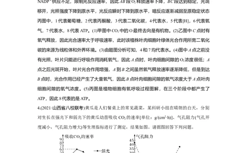 热点微练11　光合作用与细胞呼吸的综合运用_新高考复习资料_2023年新高考复习资料_一轮复习_2023年新高考大一轮复习讲义_2023年高考生物一轮复习讲义（新人教新高考）_赠补充习题