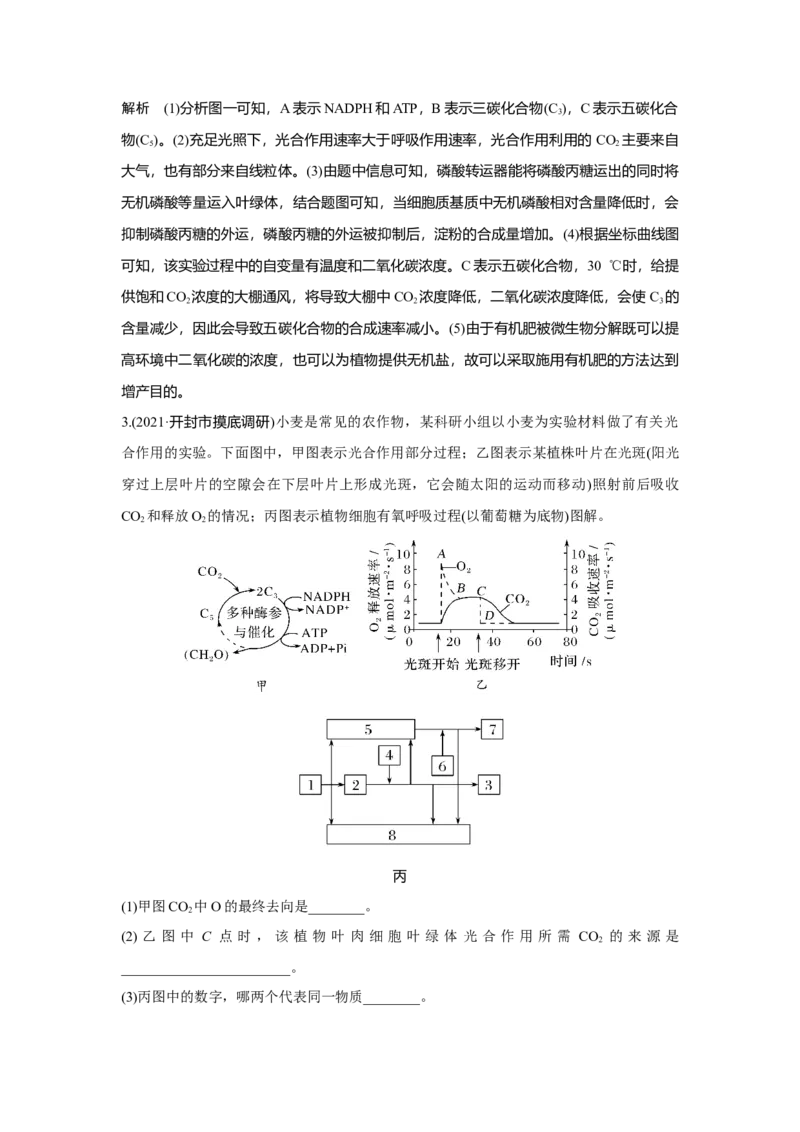 热点微练11　光合作用与细胞呼吸的综合运用_新高考复习资料_2023年新高考复习资料_一轮复习_2023年新高考大一轮复习讲义_2023年高考生物一轮复习讲义（新人教新高考）_赠补充习题