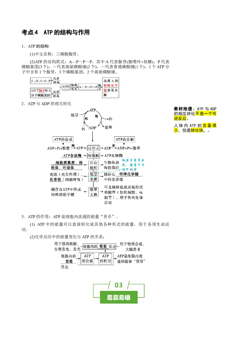 知识清单05+酶和ATP（4大考点+6个易错点）-上好课2025年高考生物一轮复习知识清单_新高考复习资料_2025年新高考资料_2025年高考生物一轮复习知识清单
