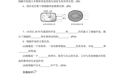 晨背晚默_通用版（老高考）复习资料_2023年复习资料_一轮复习_2023年高考生物一轮复习讲义+课件（全国版）_2023年高考生物一轮复习讲义（全国版）_赠补充习题