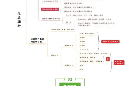 知识清单01+走近细胞（6大考点+7个易错点）-上好课2025年高考生物一轮复习知识清单_2025年新高考资料_一轮复习_上好课2025年高考生物一轮复习知识清单325572639