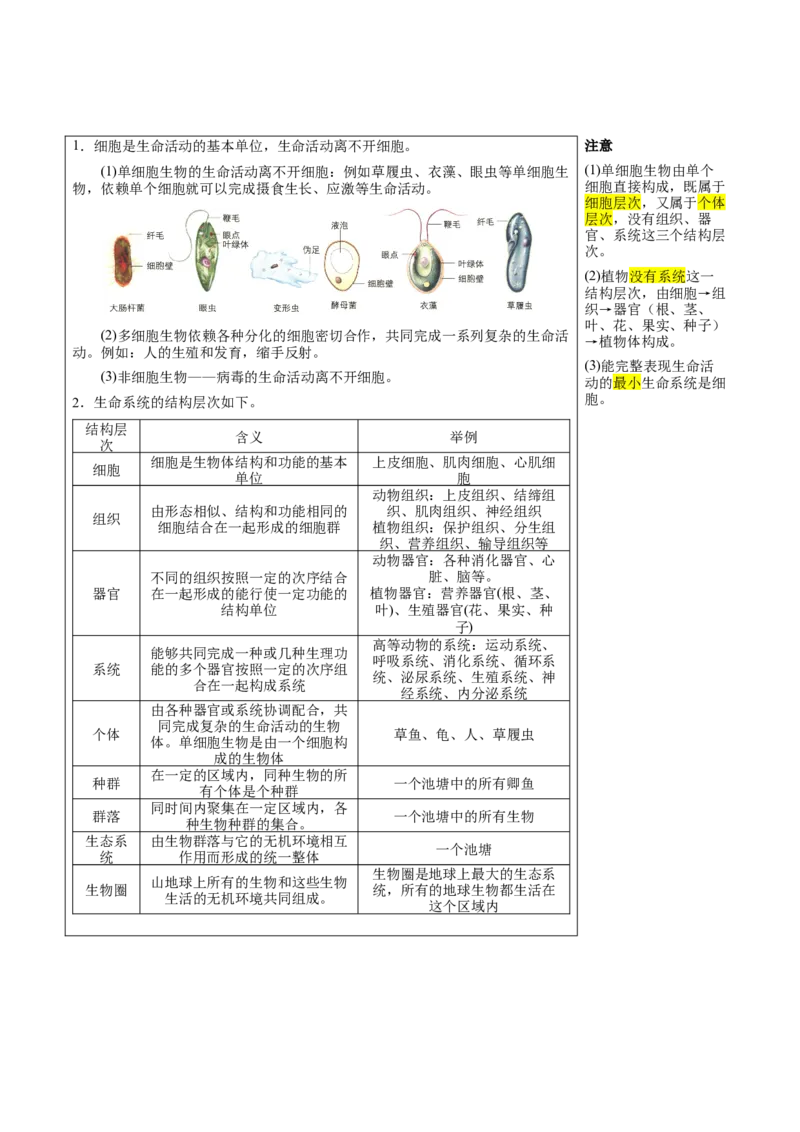 知识清单01+走近细胞（6大考点+7个易错点）-上好课2025年高考生物一轮复习知识清单_2025年新高考资料_一轮复习_上好课2025年高考生物一轮复习知识清单325572639