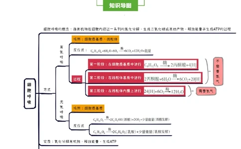 知识清单06+呼吸作用（4大考点+5个易错点）-上好课2025年高考生物一轮复习知识清单_2025年新高考资料_一轮复习_上好课2025年高考生物一轮复习知识清单325572639