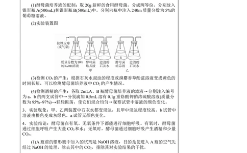 知识清单06+呼吸作用（4大考点+5个易错点）-上好课2025年高考生物一轮复习知识清单_2025年新高考资料_一轮复习_上好课2025年高考生物一轮复习知识清单325572639