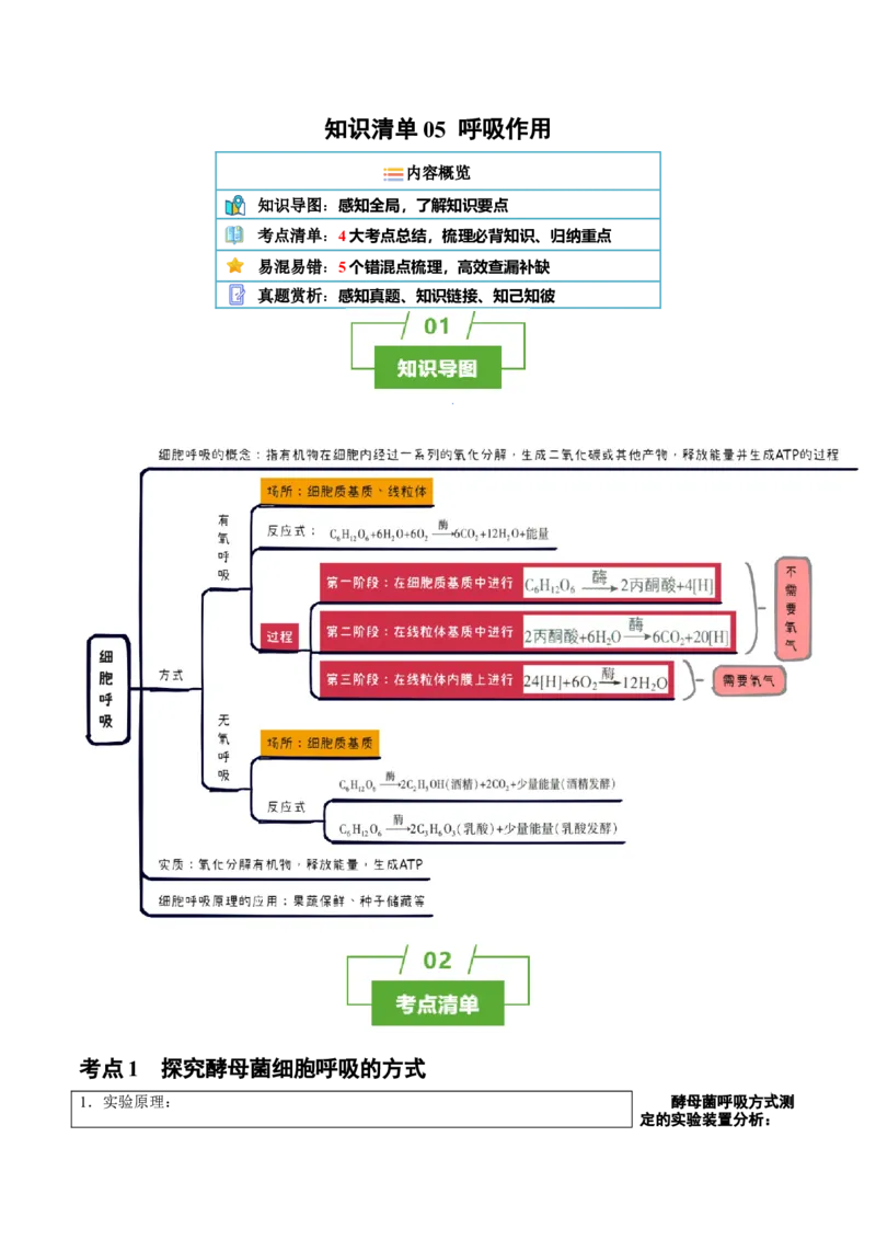 知识清单06+呼吸作用（4大考点+5个易错点）-上好课2025年高考生物一轮复习知识清单_2025年新高考资料_一轮复习_上好课2025年高考生物一轮复习知识清单325572639