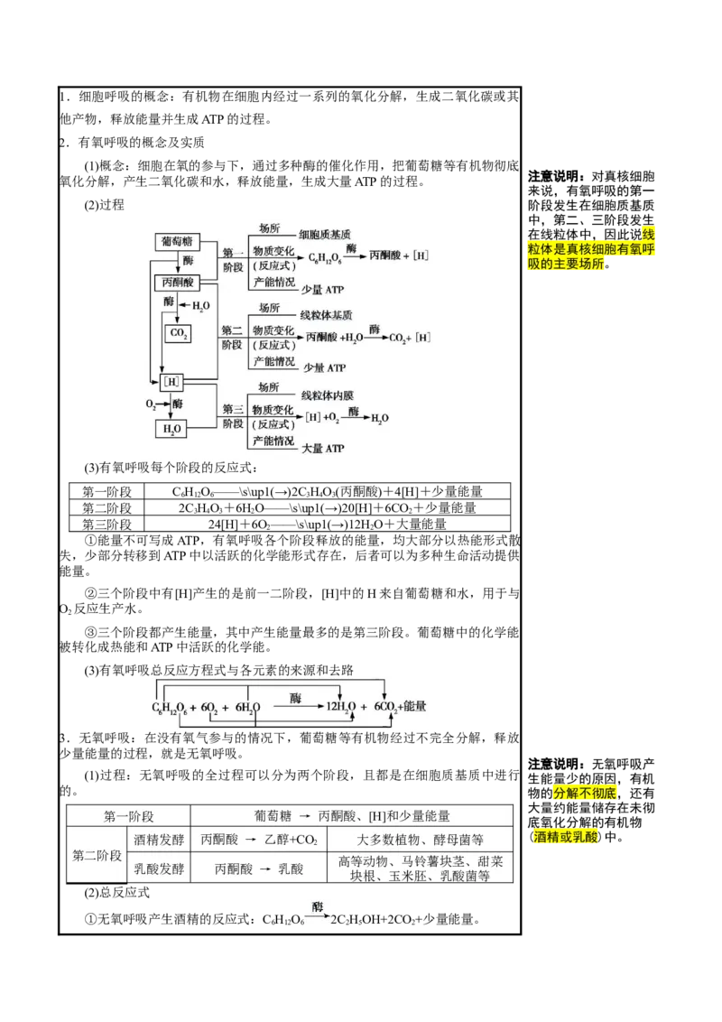 知识清单06+呼吸作用（4大考点+5个易错点）-上好课2025年高考生物一轮复习知识清单_2025年新高考资料_一轮复习_上好课2025年高考生物一轮复习知识清单325572639