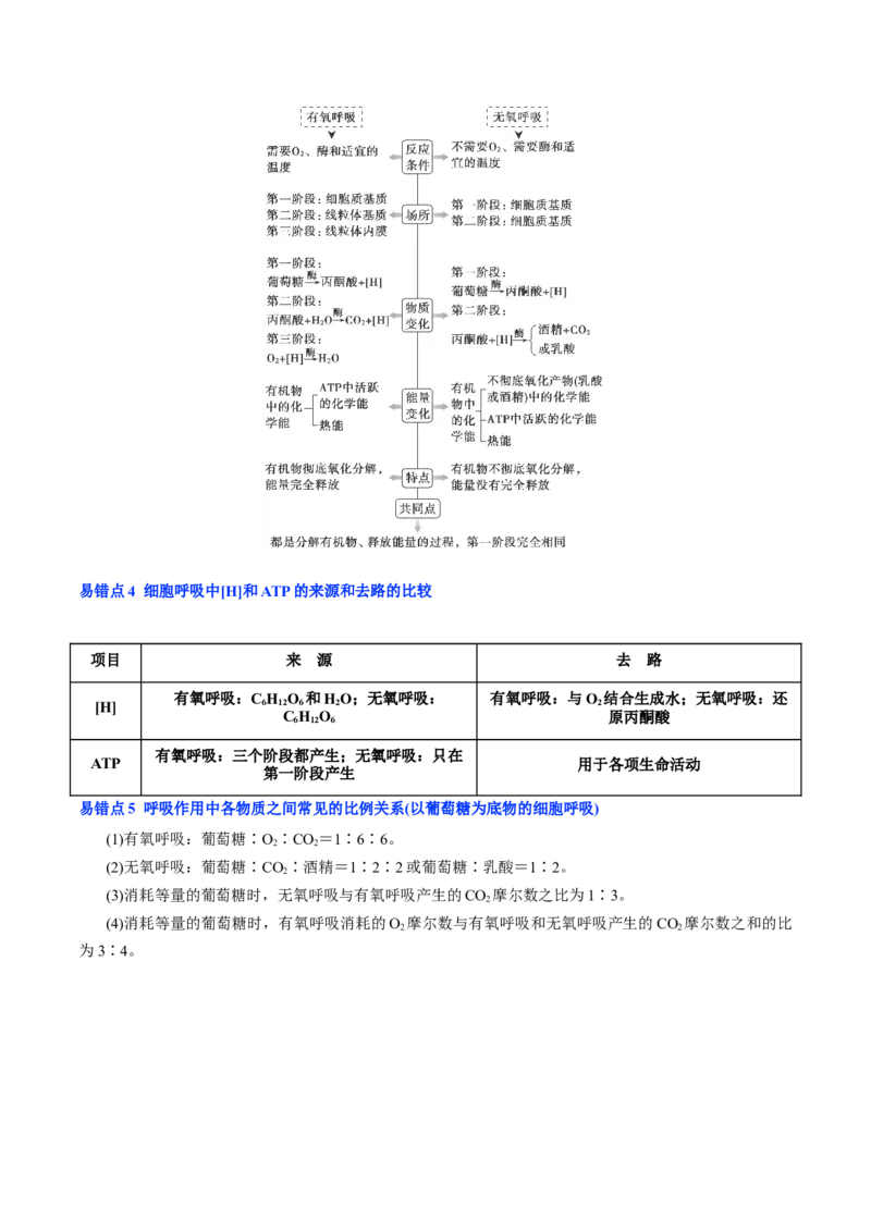 知识清单06+呼吸作用（4大考点+5个易错点）-上好课2025年高考生物一轮复习知识清单_2025年新高考资料_一轮复习_上好课2025年高考生物一轮复习知识清单325572639