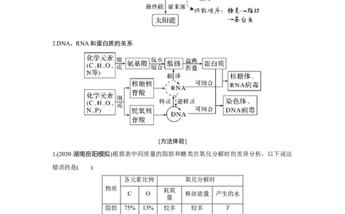热点微练1　细胞中有机物之间的联系_新高考复习资料_2023年新高考复习资料_一轮复习_2023年新高考大一轮复习讲义_2023年高考生物一轮复习讲义（新人教新高考）_赠补充习题