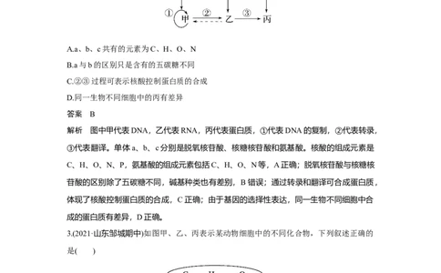 热点微练1　细胞中有机物之间的联系_新高考复习资料_2023年新高考复习资料_一轮复习_2023年新高考大一轮复习讲义_2023年高考生物一轮复习讲义（新人教新高考）_赠补充习题
