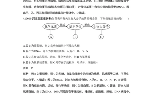 热点微练1　细胞中有机物之间的联系_新高考复习资料_2023年新高考复习资料_一轮复习_2023年新高考大一轮复习讲义_2023年高考生物一轮复习讲义（新人教新高考）_赠补充习题