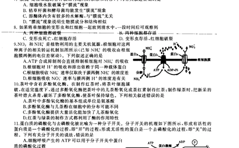 河南省信阳市普通高中2022-2023学年高三上学期第一次教学质量检测生物试题_生物高考模拟题_老高考_2023年_河南省信阳市普通高中2022-2023学年高三上学期第一次教学质量检测生物(1)