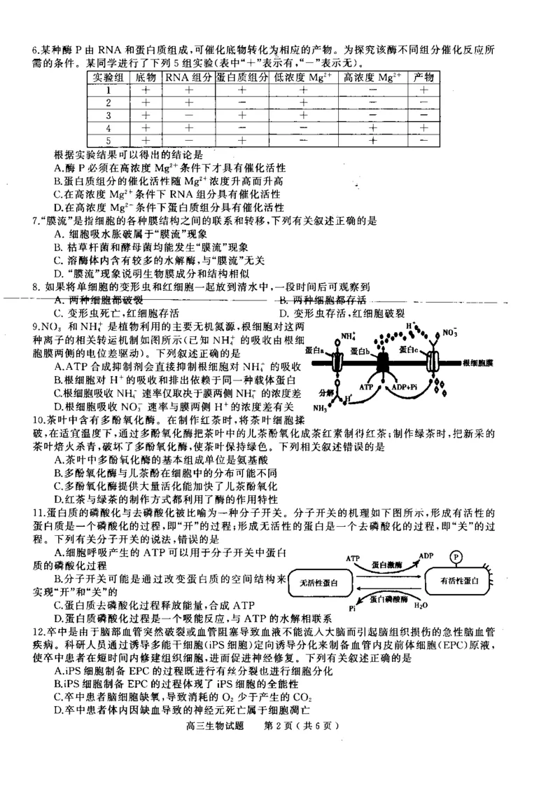 河南省信阳市普通高中2022-2023学年高三上学期第一次教学质量检测生物试题_生物高考模拟题_老高考_2023年_河南省信阳市普通高中2022-2023学年高三上学期第一次教学质量检测生物(1)