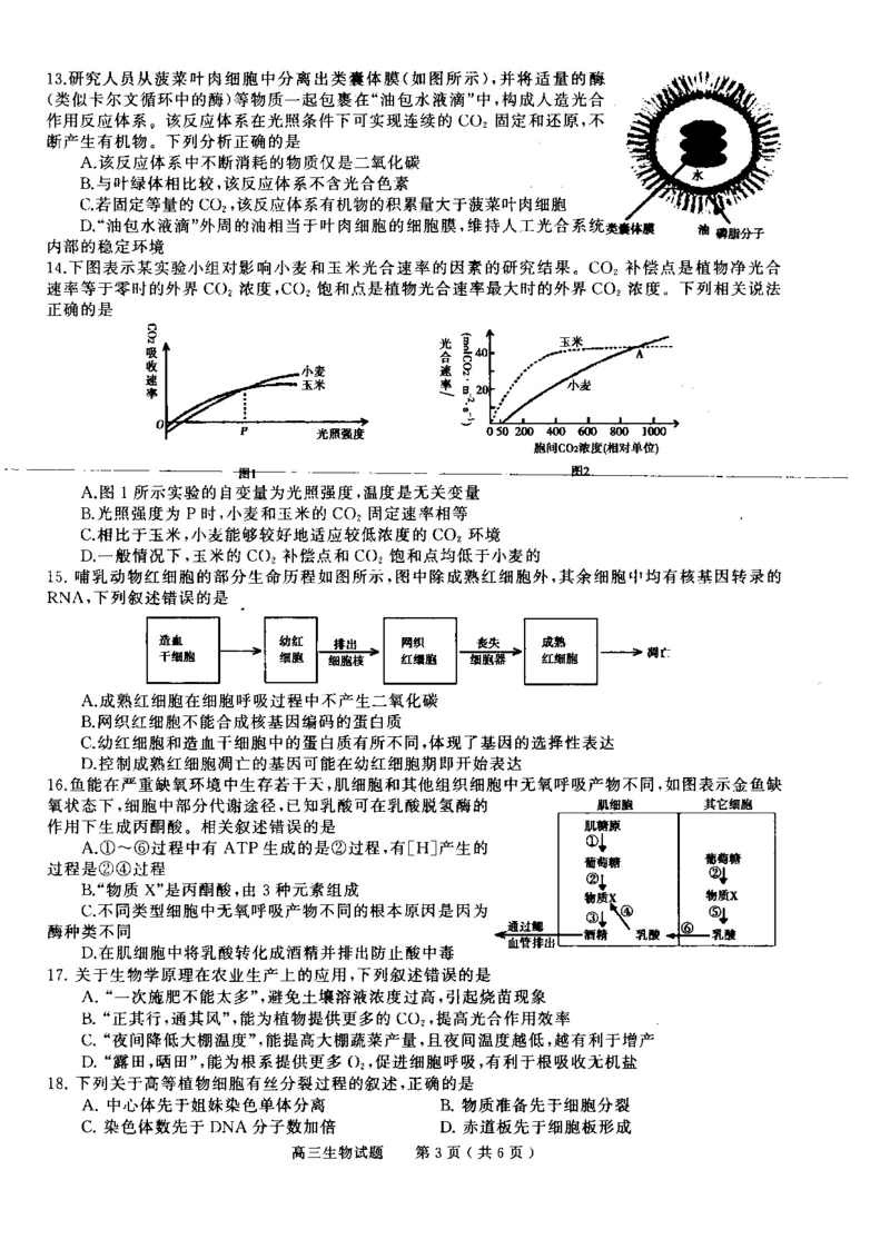 河南省信阳市普通高中2022-2023学年高三上学期第一次教学质量检测生物试题_生物高考模拟题_老高考_2023年_河南省信阳市普通高中2022-2023学年高三上学期第一次教学质量检测生物(1)