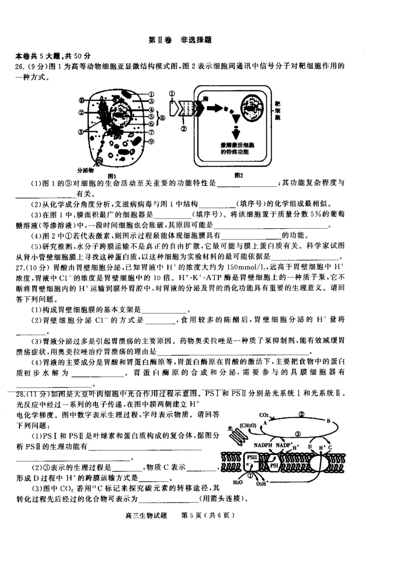 河南省信阳市普通高中2022-2023学年高三上学期第一次教学质量检测生物试题_生物高考模拟题_老高考_2023年_河南省信阳市普通高中2022-2023学年高三上学期第一次教学质量检测生物(1)