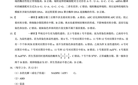 重庆市第八中学2026届高考适应性月考卷（六）生物答案_2024-2026高三（6-6月题库）_2026年03月高三试卷_260323重庆市第八中学2026届高考适应性月考卷（六）（全科）