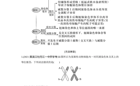 热点微练13　细胞分裂图像中变异类型的判断_新高考复习资料_2023年新高考复习资料_一轮复习_2023年新高考大一轮复习讲义_2023年高考生物一轮复习讲义（新人教新高考）_赠补充习题