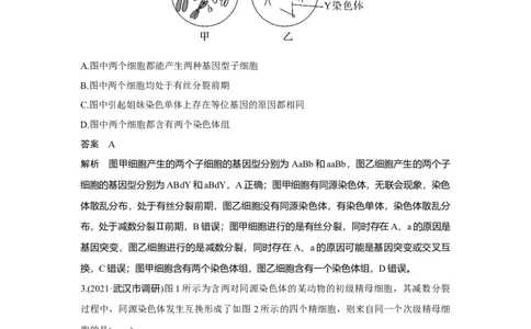热点微练13　细胞分裂图像中变异类型的判断_新高考复习资料_2023年新高考复习资料_一轮复习_2023年新高考大一轮复习讲义_2023年高考生物一轮复习讲义（新人教新高考）_赠补充习题