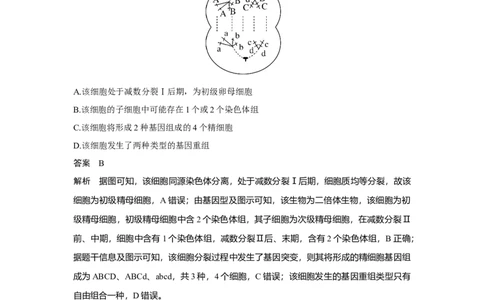 热点微练13　细胞分裂图像中变异类型的判断_新高考复习资料_2023年新高考复习资料_一轮复习_2023年新高考大一轮复习讲义_2023年高考生物一轮复习讲义（新人教新高考）_赠补充习题