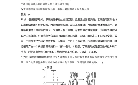 热点微练13　细胞分裂图像中变异类型的判断_新高考复习资料_2023年新高考复习资料_一轮复习_2023年新高考大一轮复习讲义_2023年高考生物一轮复习讲义（新人教新高考）_赠补充习题