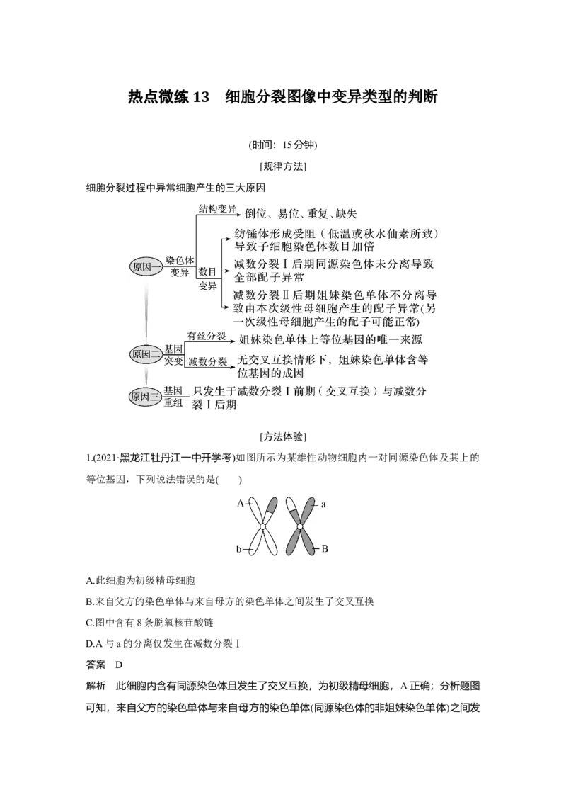 热点微练13　细胞分裂图像中变异类型的判断_新高考复习资料_2023年新高考复习资料_一轮复习_2023年新高考大一轮复习讲义_2023年高考生物一轮复习讲义（新人教新高考）_赠补充习题
