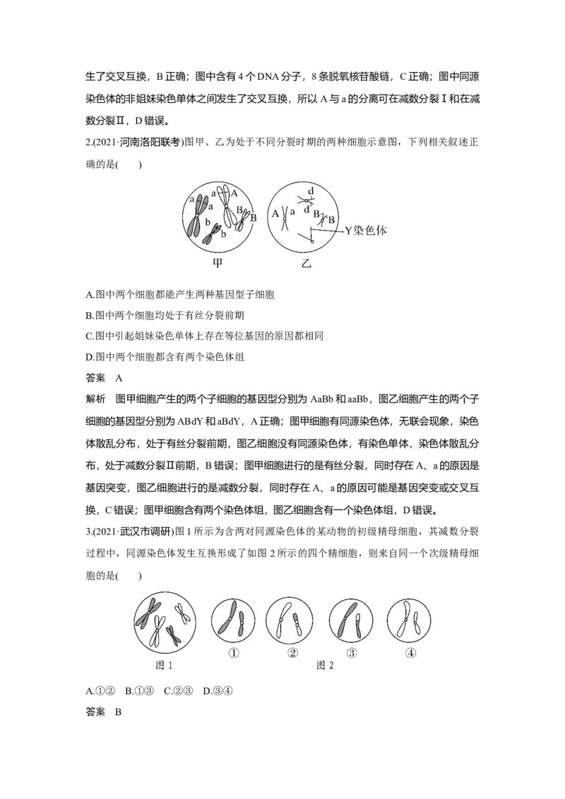 热点微练13　细胞分裂图像中变异类型的判断_新高考复习资料_2023年新高考复习资料_一轮复习_2023年新高考大一轮复习讲义_2023年高考生物一轮复习讲义（新人教新高考）_赠补充习题