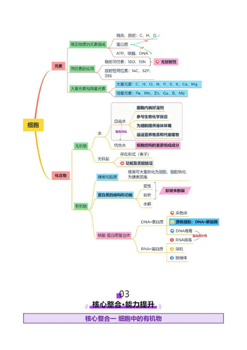 第01讲细胞中的元素和化合物（讲义）（解析版）_2025年新高考资料_二轮复习_01高考语文等多个文件_上好课2025年高考生物二轮复习讲练测（新高考通用）
