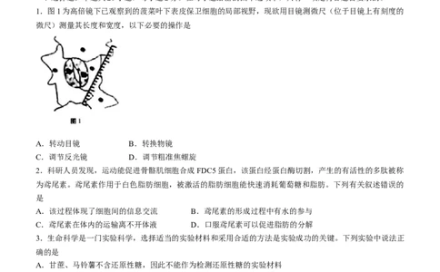 生物重庆市巴蜀中学校2022-2023学年高三上学期高考适应性月考（二）生物试题(1)_生物高考模拟题_新高考_2023年